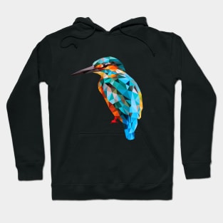 Kingfisher Bird Hoodie